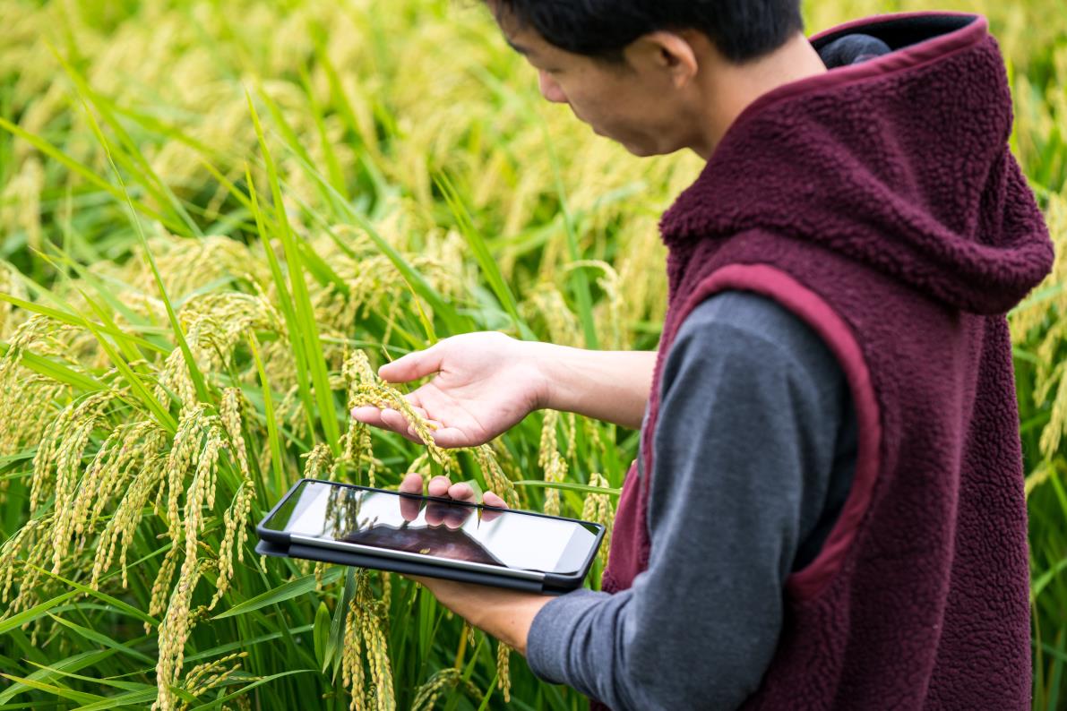Agtech: Cambios y oportunidades que surgen en medio de la pandemia