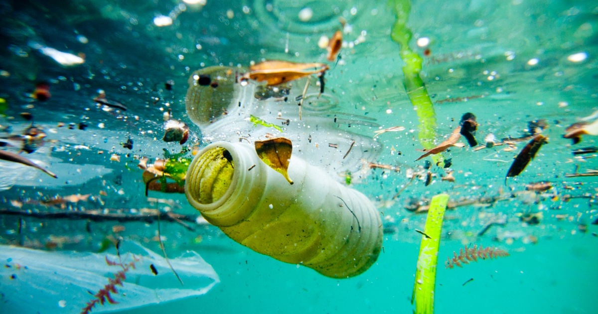 Tecnología al servicio del medioambiente: el problema de la basura marina