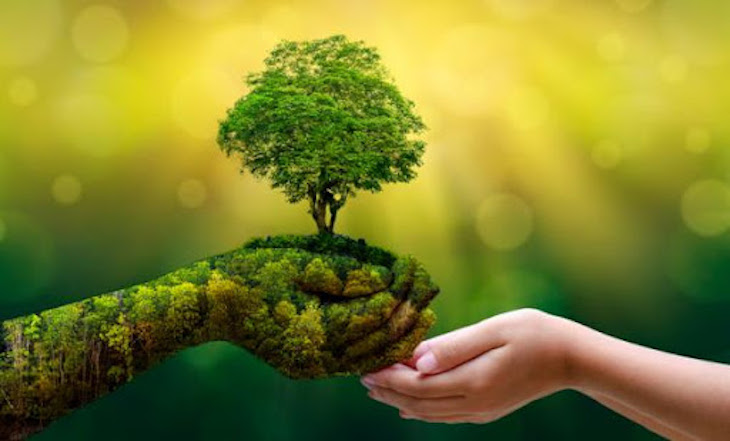 ¿Qué estás haciendo para reducir tu huella medioambiental?