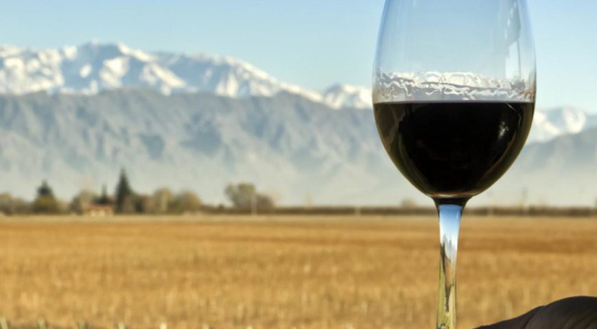 Lanzan un plan para promover el turismo del vino en Argentina