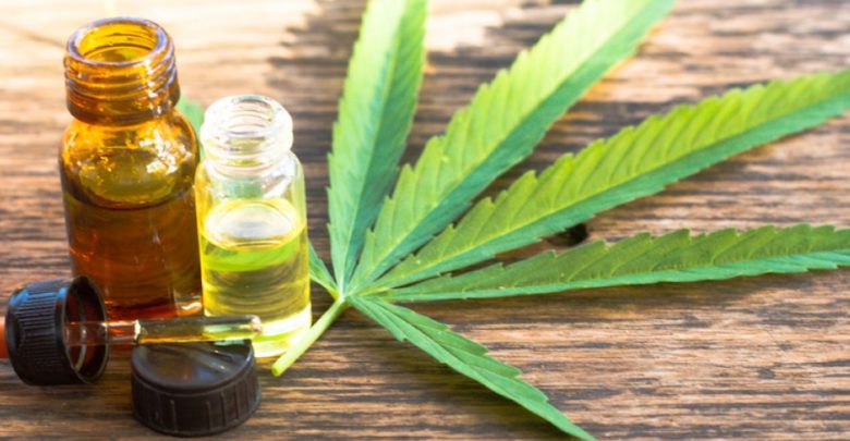 Comenzará la diplomatura con aval oficial en cannabis medicinal