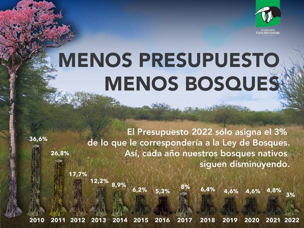 El presupuesto nacional 2022 solo asigna el 3% de lo que le correspondería a la Ley de Bosques