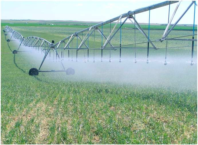 En Expoagro 2022: la función del galvanizado por inmersión en caliente en el campo