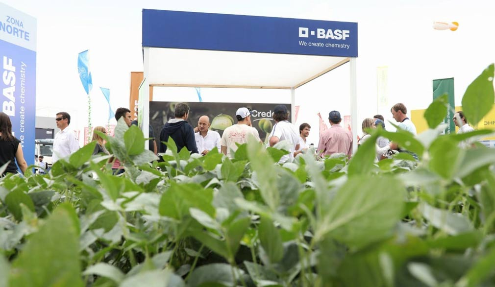 BASF invita a sus clientes a colaborar con la RedArgentina de Bancos de Alimentos