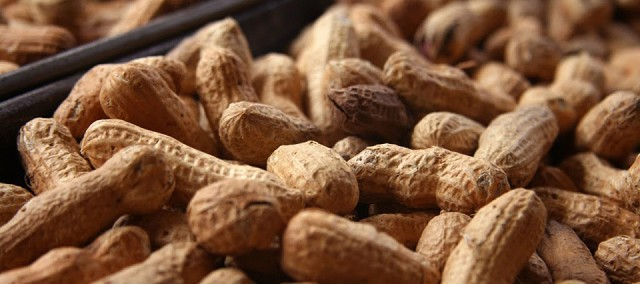 BASF premió a los productores y asesores técnicos dedicados al cultivo de maní