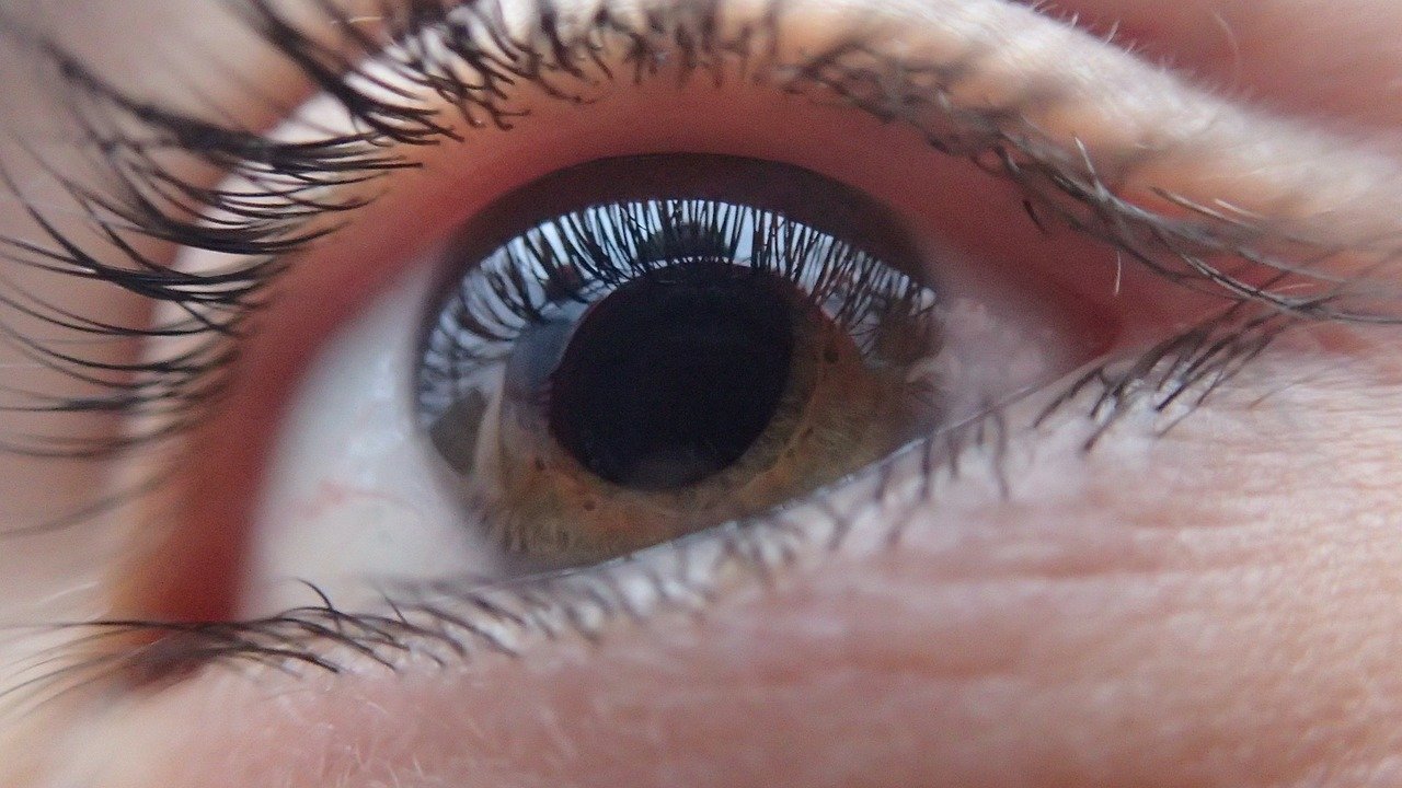 El glaucoma genera daños irreversibles en la visión si no se detecta a tiempo