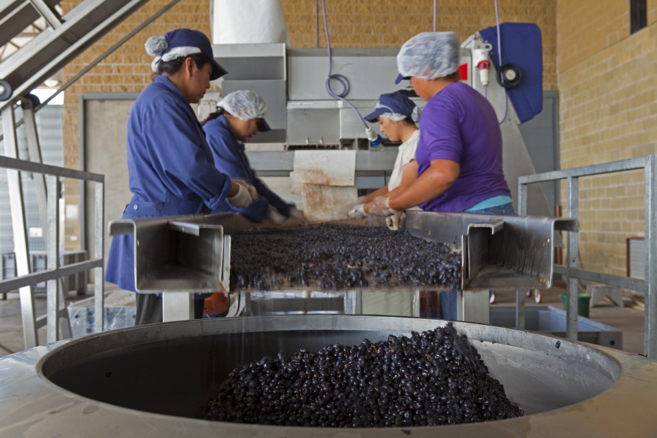 La Vitivinicultura desarrolla y lanza su propia Calculadora de Huella de Agua y Carbono