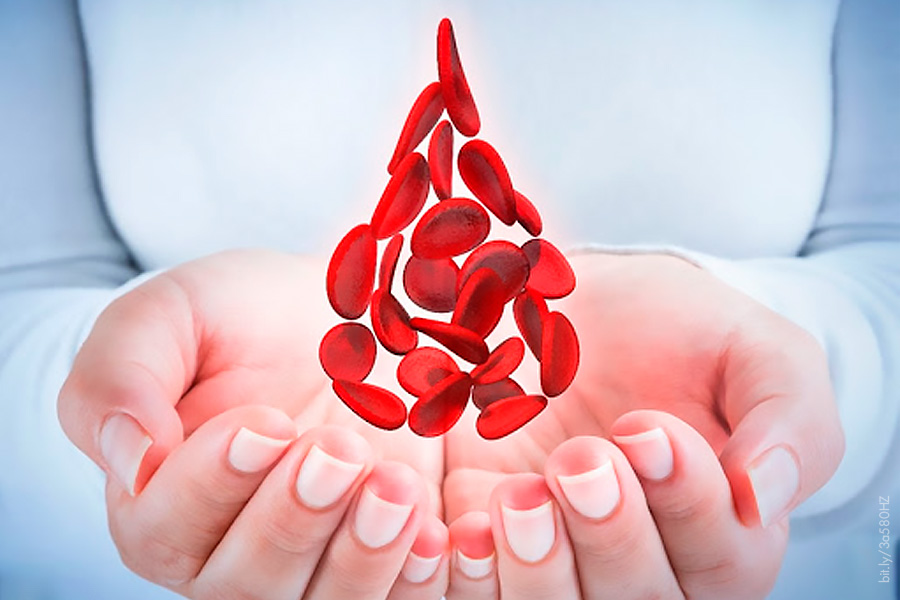La importancia de la prevención del desarrollo de la Hemofilia