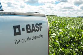 A Todo Trigo: BASF presentó su porfolio para el manejo exitoso en cereales de invierno