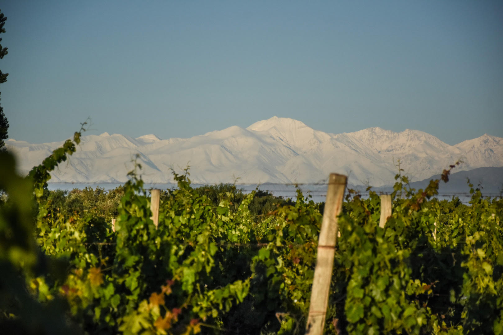 23 bodegas de 14 provincias podrán certificar sus prácticas de sostenibilidad
